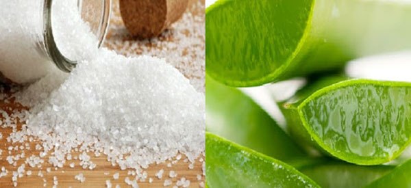 5 bí quyết dưỡng trắng da bằng nha đam đơn giản mà nàng nghiện chăm da bổ  rẻ cần biết